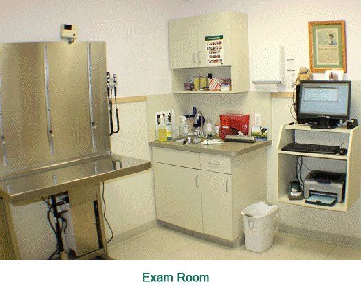 Exam Room