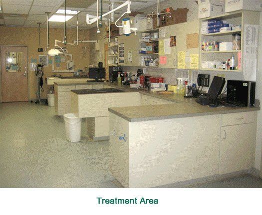 Treatment Area