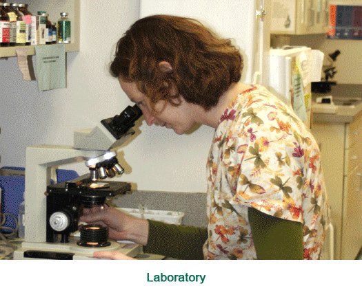 Laboratory