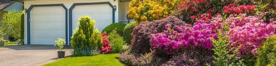 Lawn Care and Maintenance FAQs | Harry's Lawn and Garden