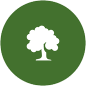 Quality tree services icon