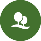 Land clearing experts icon