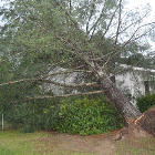 Storm damage