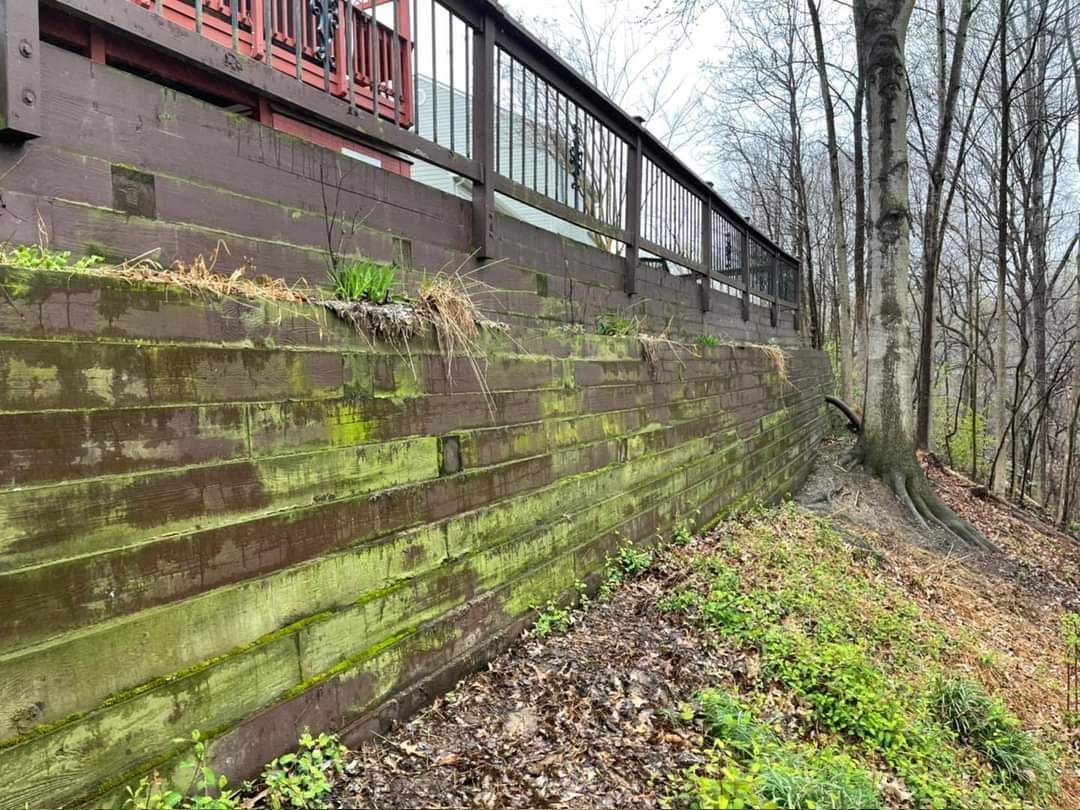 Green moss covers a wooden retaining wall supporting a house deck, near bare trees and foliage.