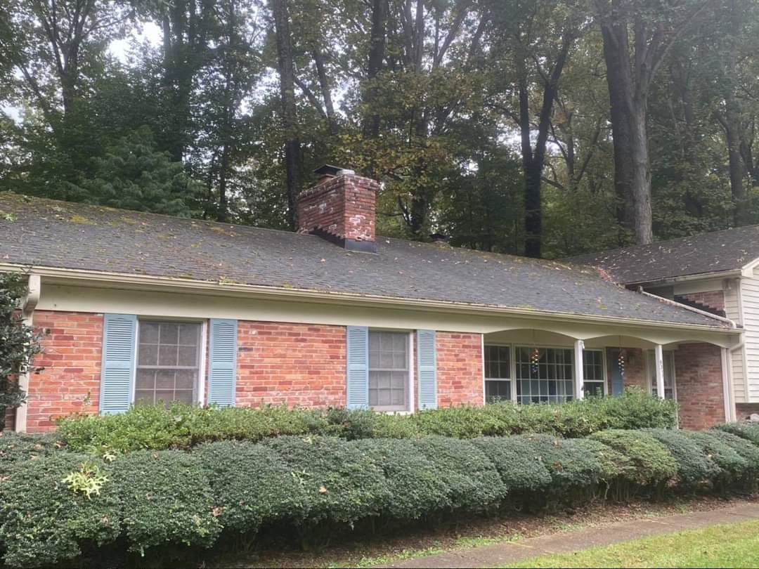 Red brick house with blue shutters, surrounded by green shrubs and trees.