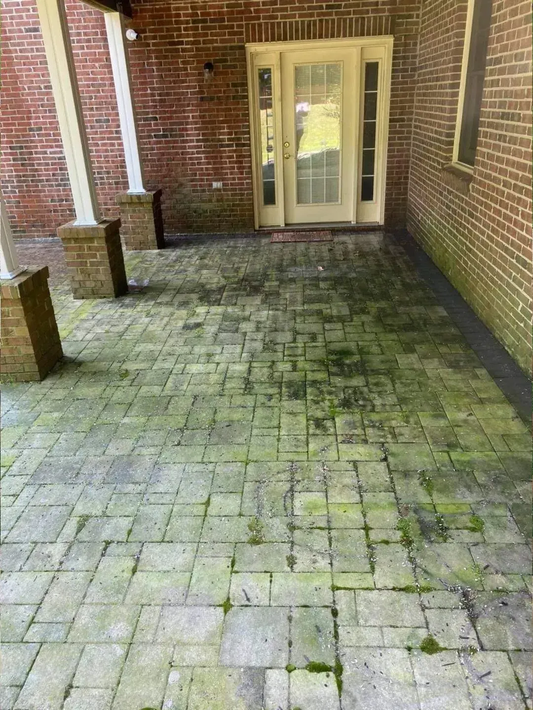 Brick patio covered in green moss, under a brick building with white columns and a doorway.