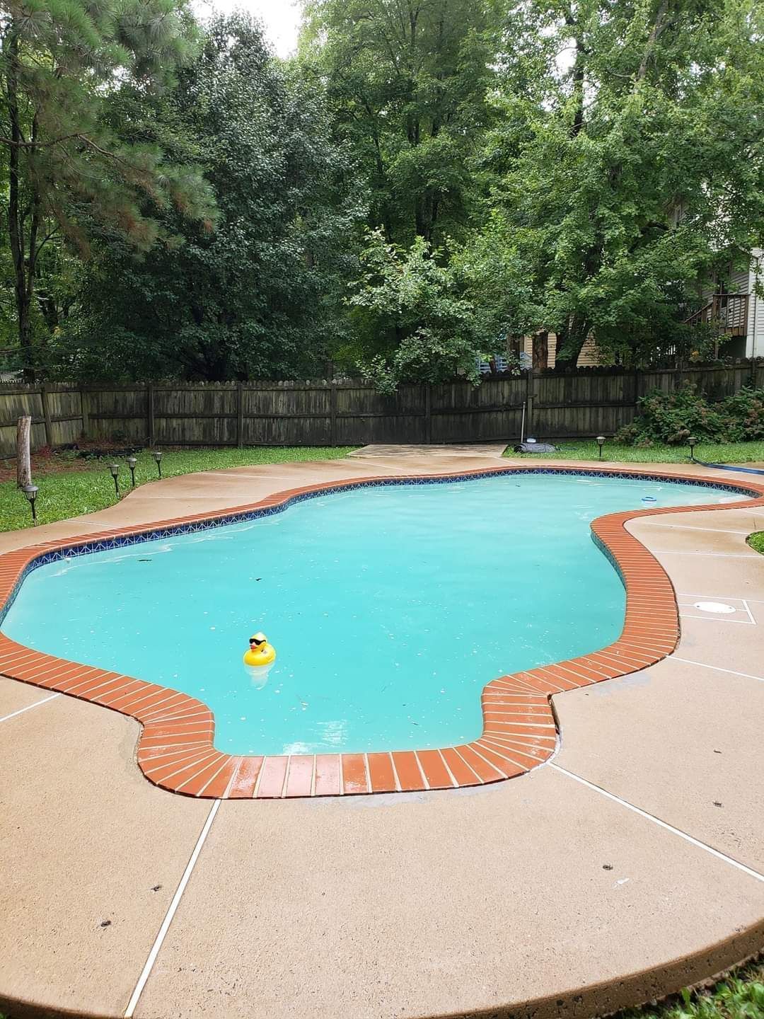 Swimming pool with brick border, surrounded by concrete patio and fence, trees in background.