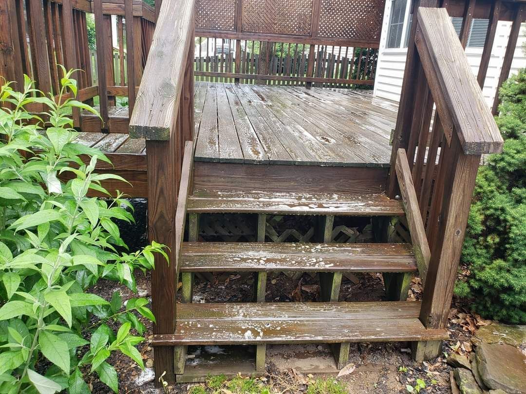 Wooden deck steps leading to a deck, with foliage on either side and a protective screen in the background.