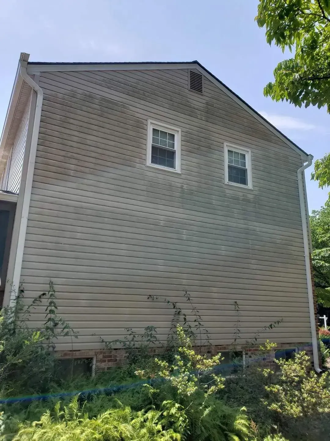 Side view of a two-story house with light siding and two windows, set among green foliage under a blue sky.