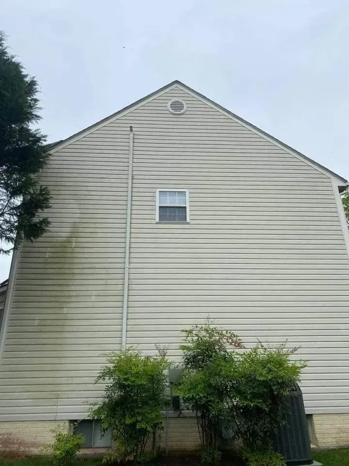 Side of a house with light-colored siding covered in dirt and algae, a small window, and green bushes below.