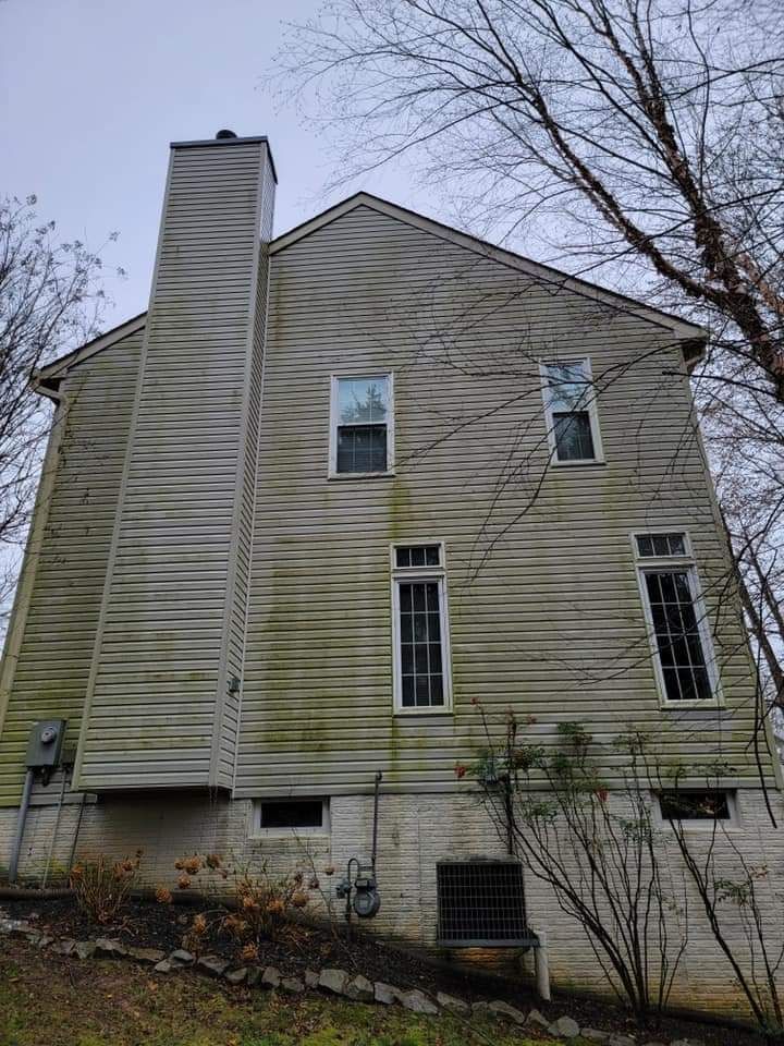 Back of a two-story house with green-tinged siding and chimney against a cloudy sky.