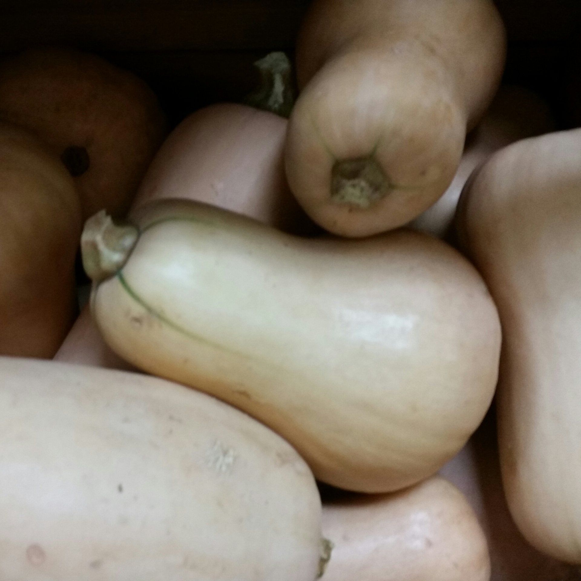 Produce Vegetables Springfield, IL