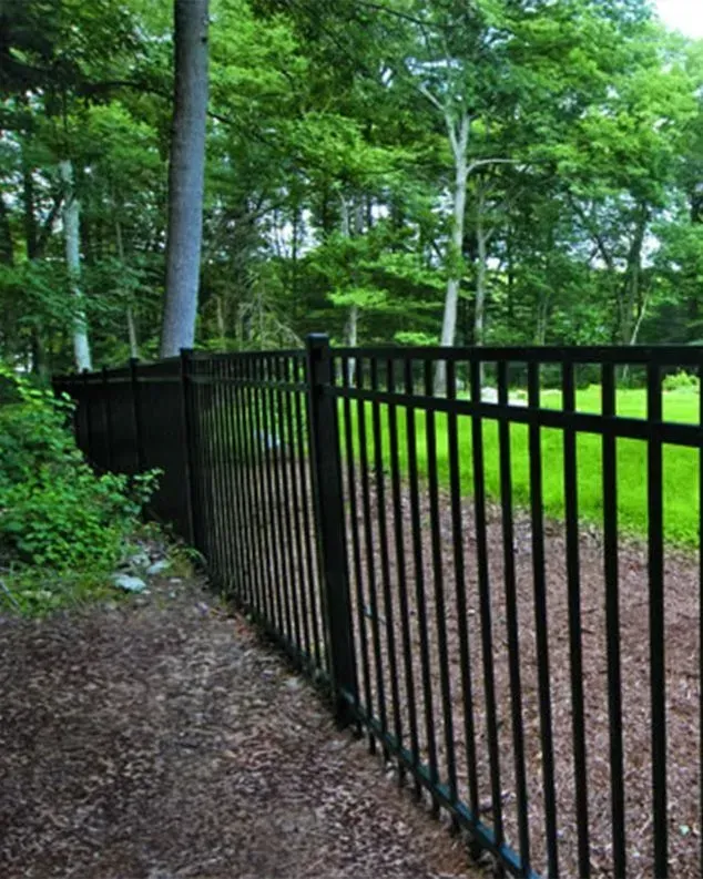 Black metal fence borders a grassy area in a wooded setting.