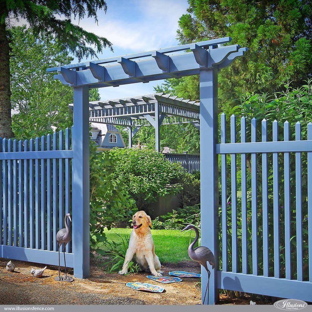 A golden retriever sits near a blue gate with a matching pergola in the background, surrounded by greenery.