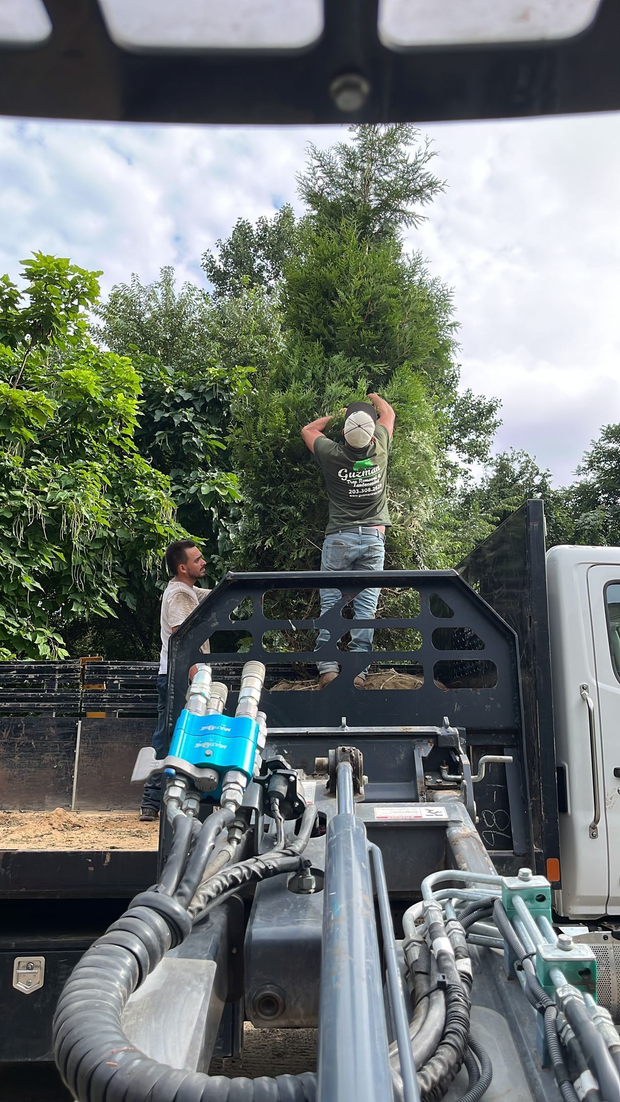 Two people on a truck bed reaching toward a tree, likely trimming it. Outdoors, cloudy sky.