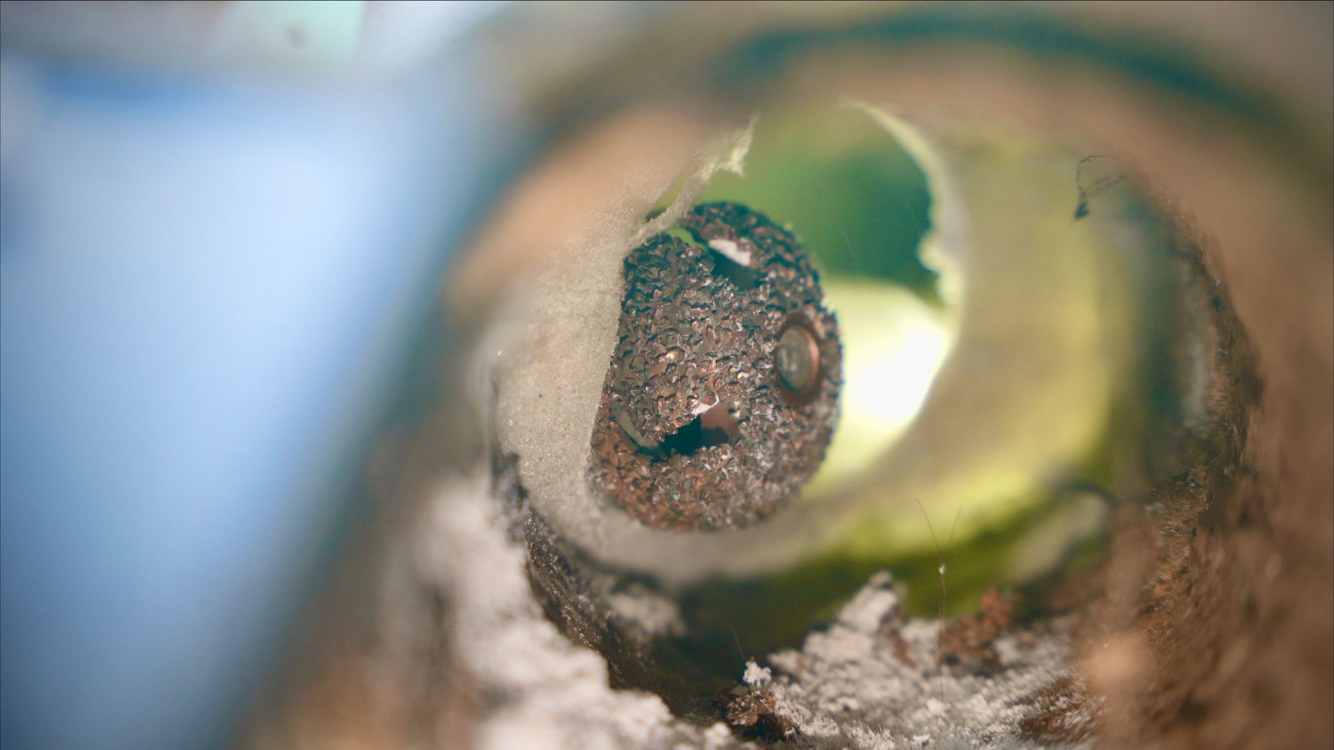 A frog is looking out of a hole in a pipe.