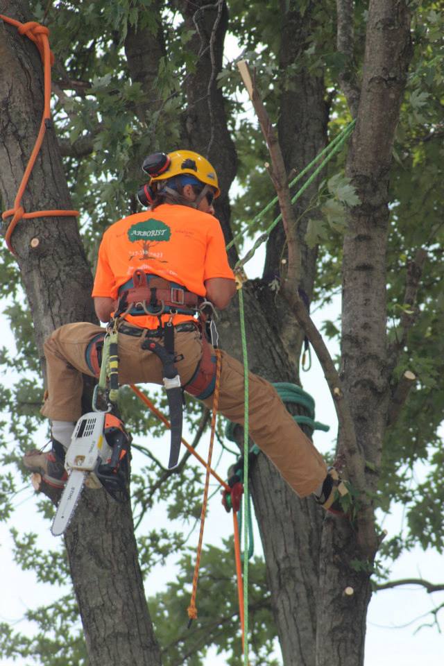 Tree Services