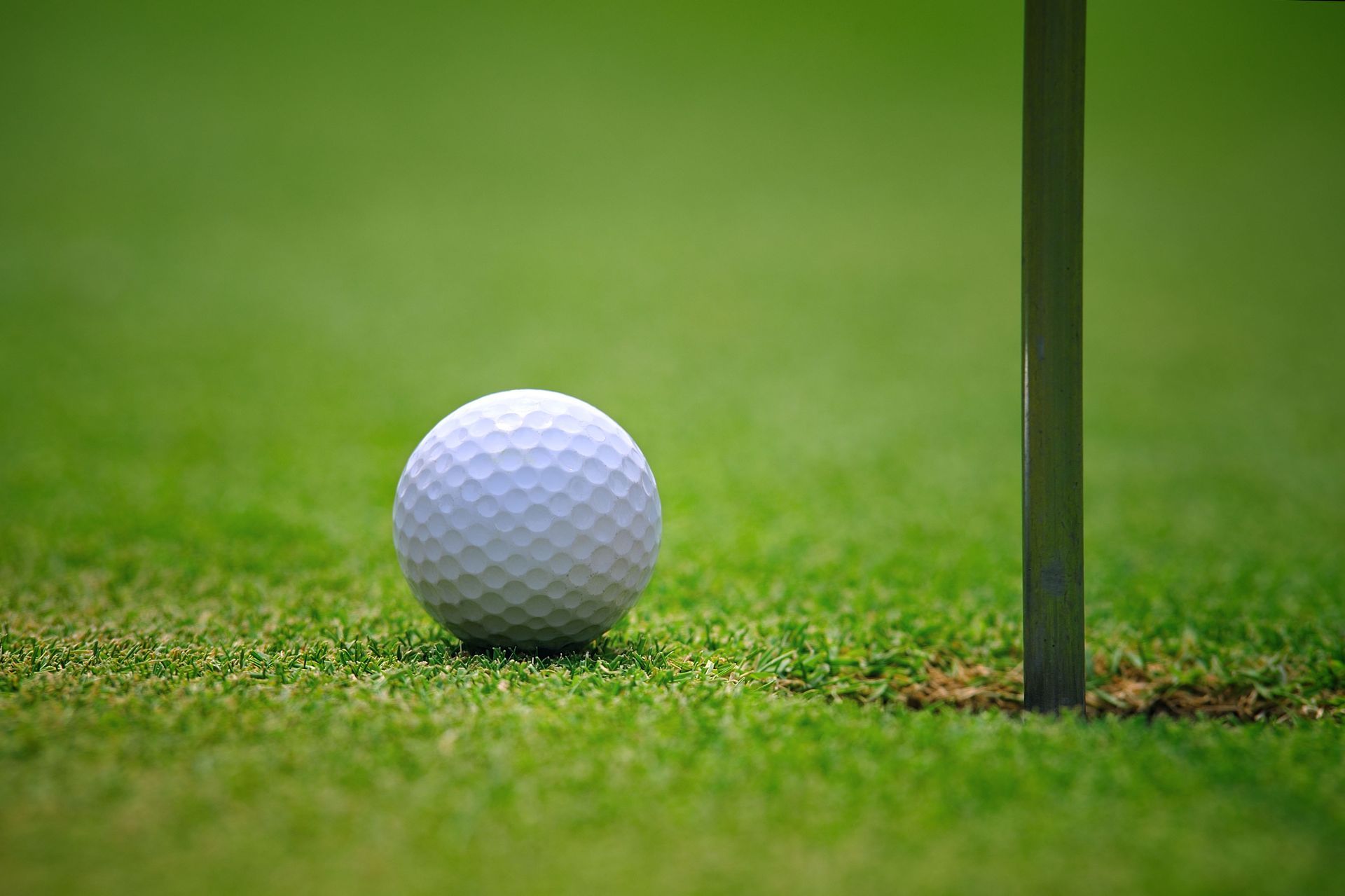 putting green