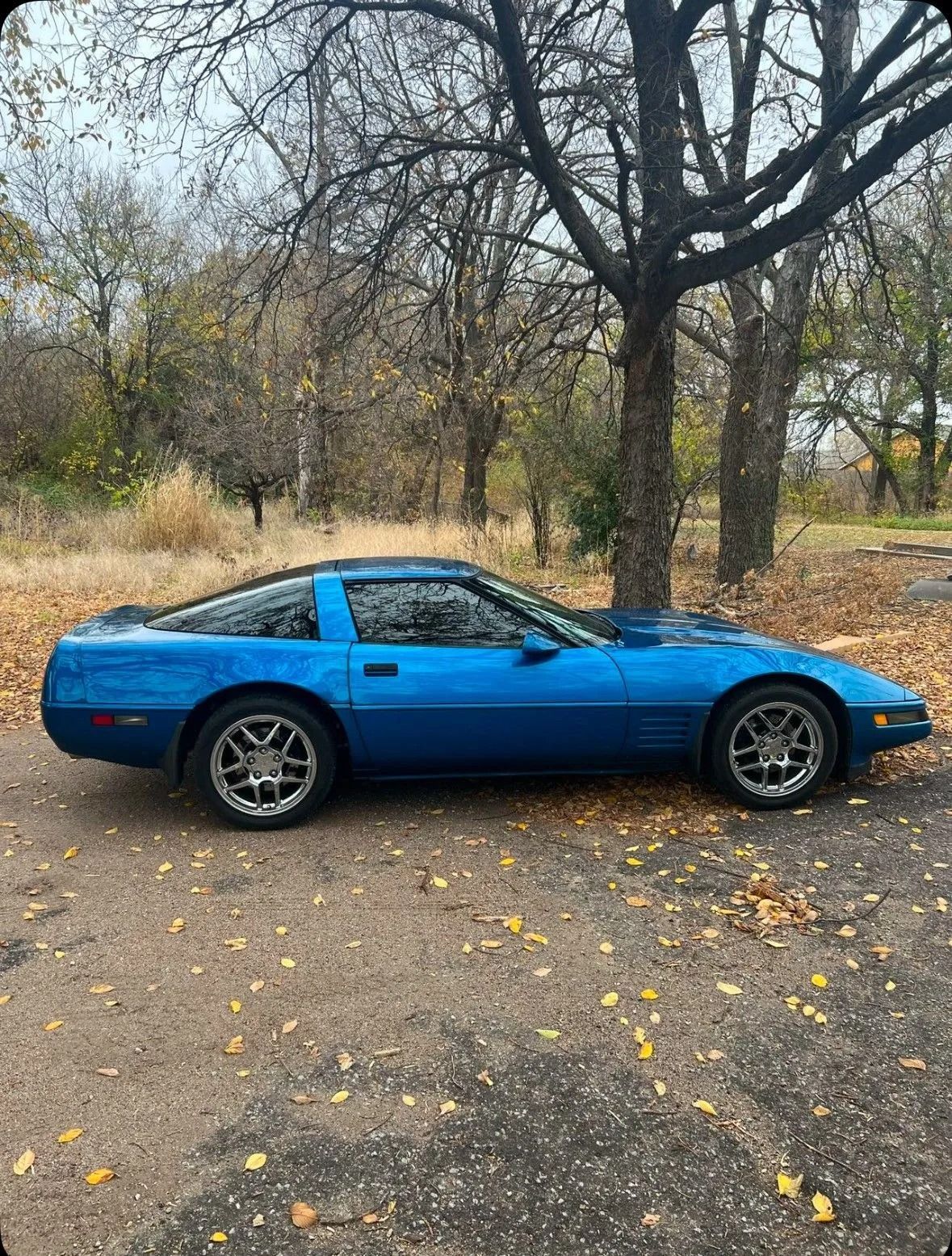 Blue Chevrolet Corvette parked on a leaf-covered road, trees in background.