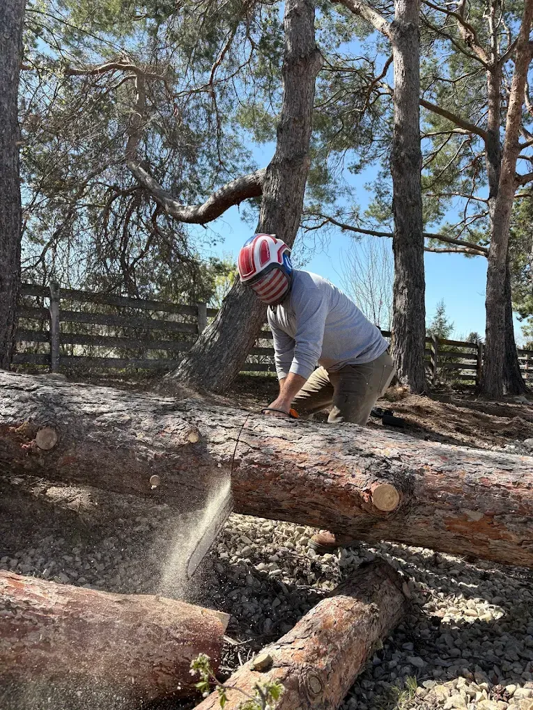 A person wearing a patterned helmet uses a chainsaw to cut a log on a sunny, wooded property.