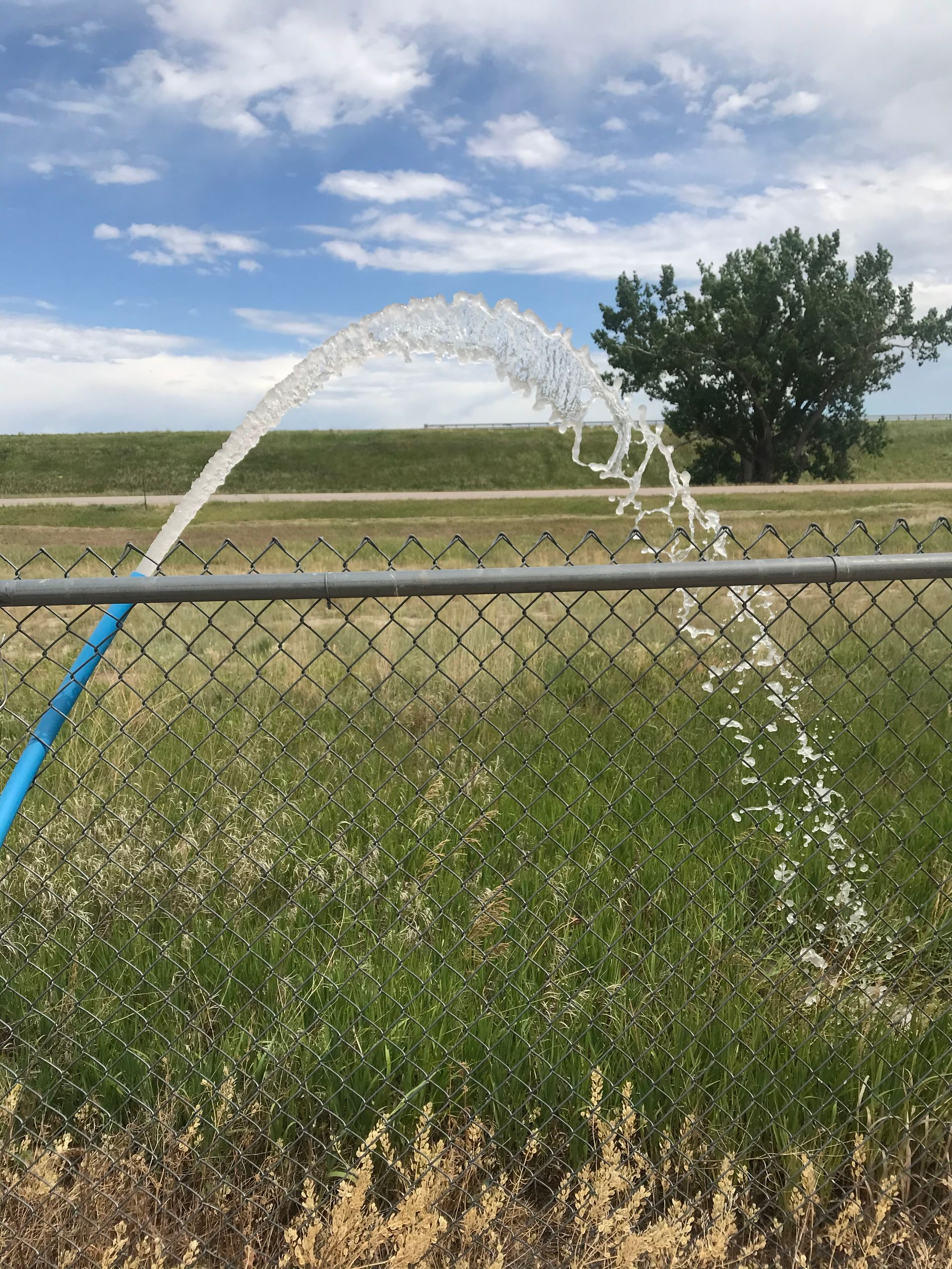 A hose is spraying water over a chain link fence in a field.