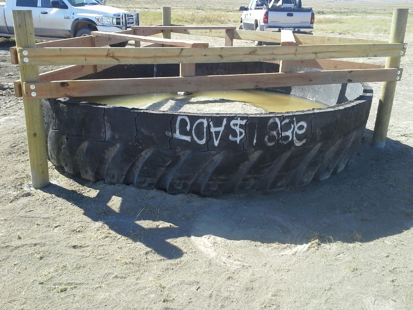 A large tire with the word cows written on it