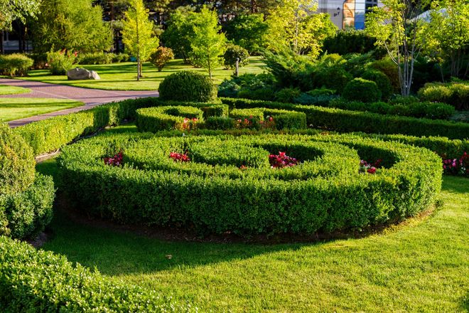 Formal garden with a circular hedge maze and flower beds in bright green sunlight