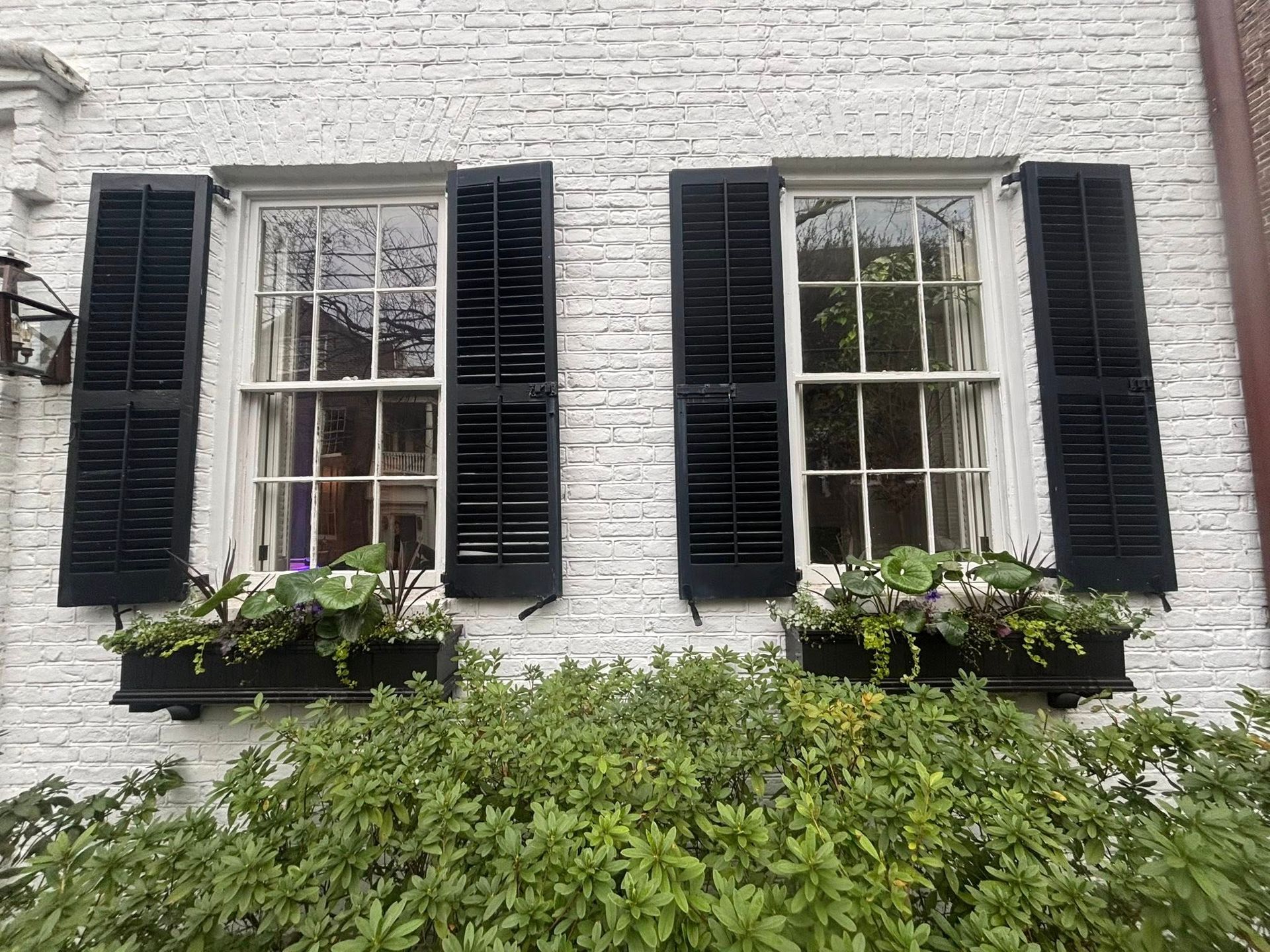 White brick house facade with black shutters, two windows, and flower boxes above dense green shrubs