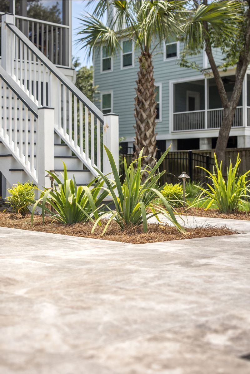 Apartment courtyard with white stairs, palm trees, and tropical landscaping beside a concrete walkway