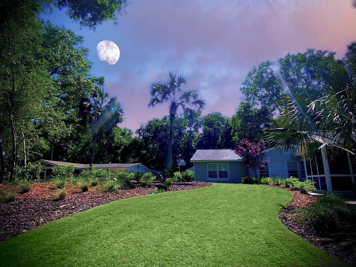 Moonlit garden path leading to a small house, framed by trees and colorful flowers.