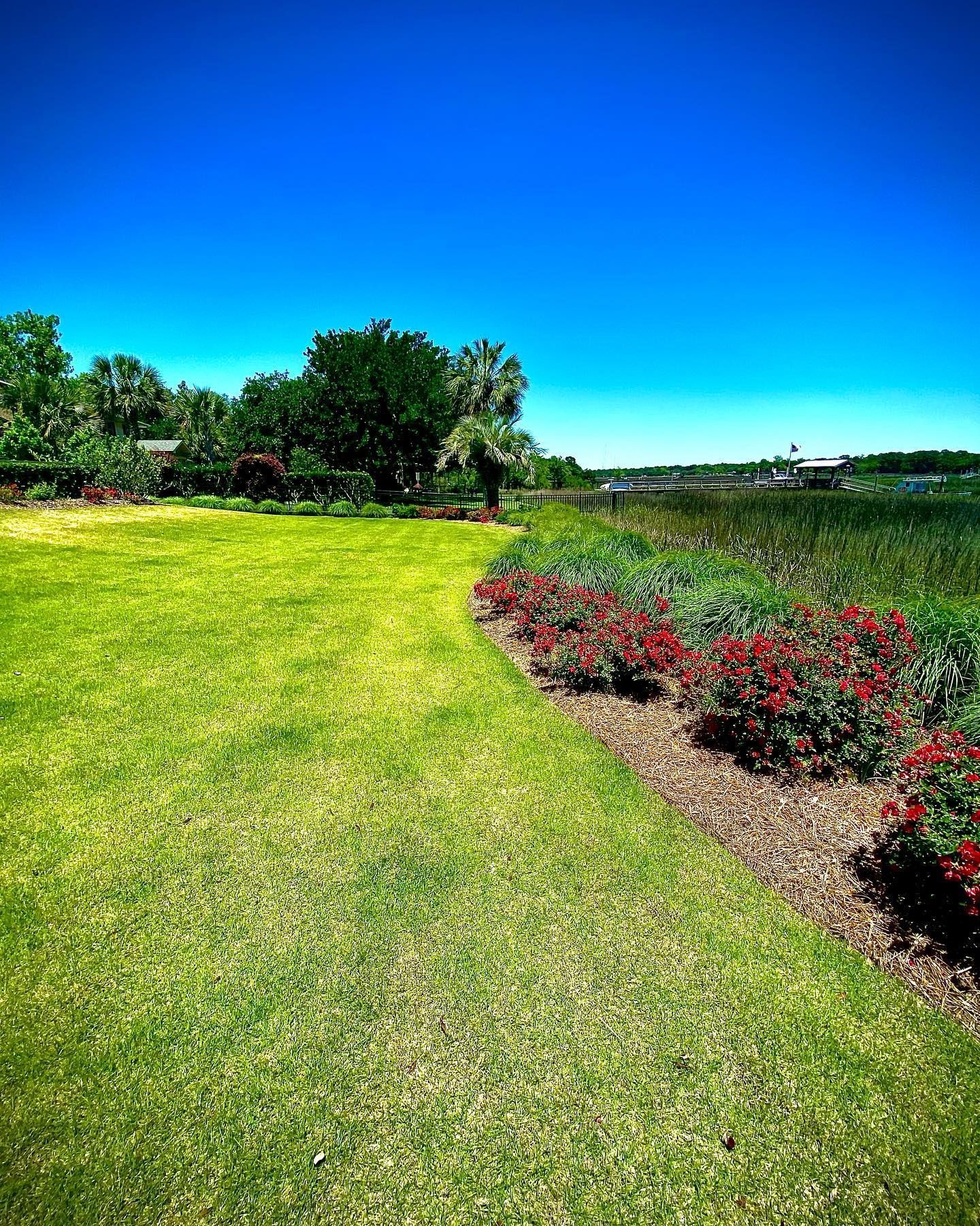 Sunny park path beside red flower beds under a bright blue sky.