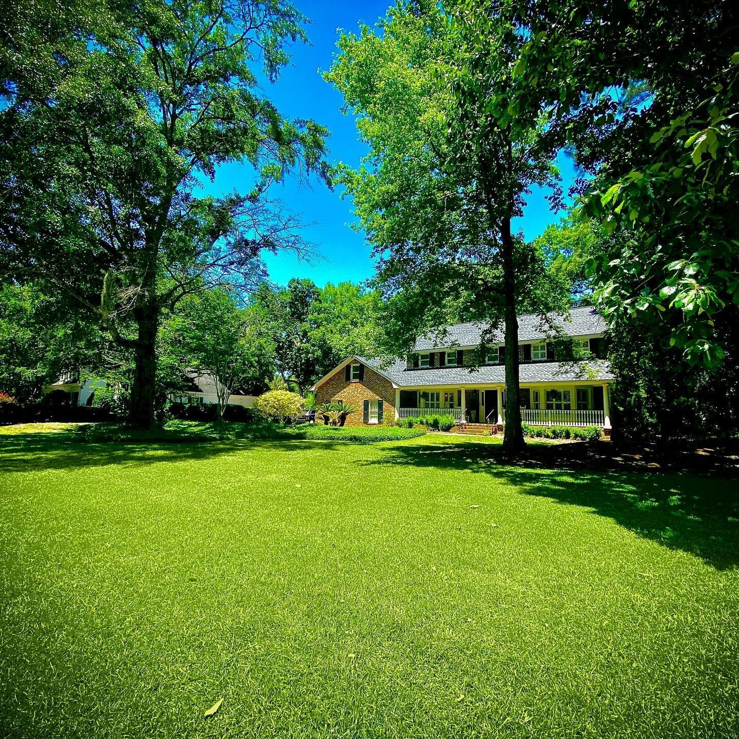 Sunlit green lawn with trees and a white house in the background