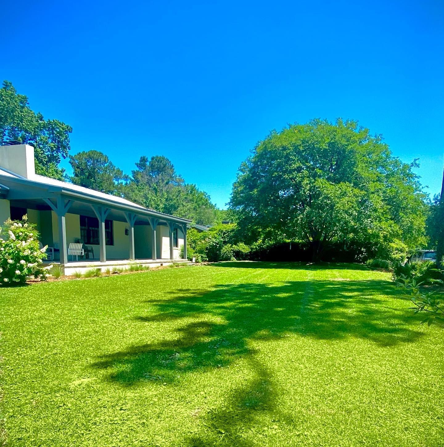 Sunny green lawn beside a white house with a shaded porch under a bright blue sky