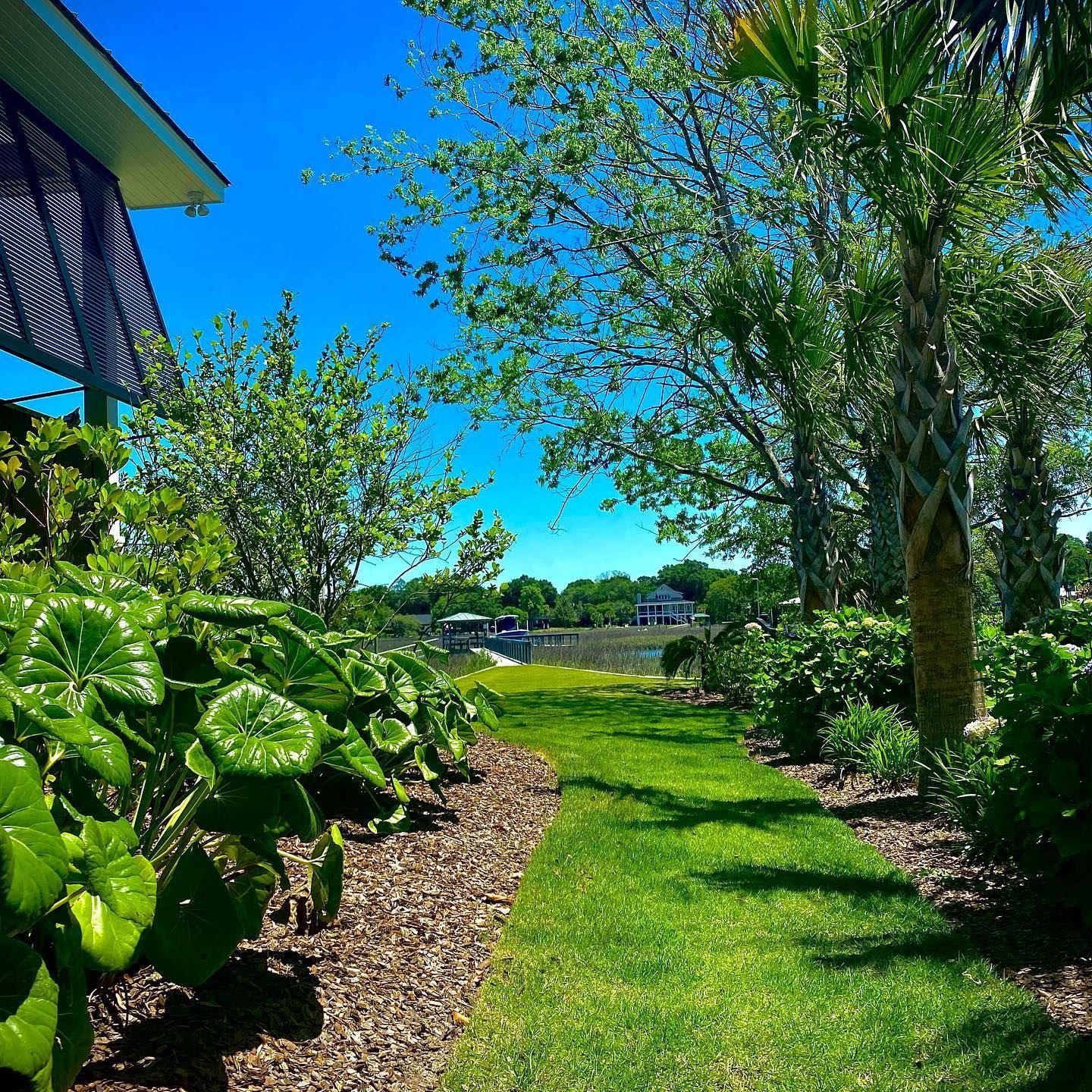 Sunny garden path beside lush green shrubs and trees under a bright blue sky