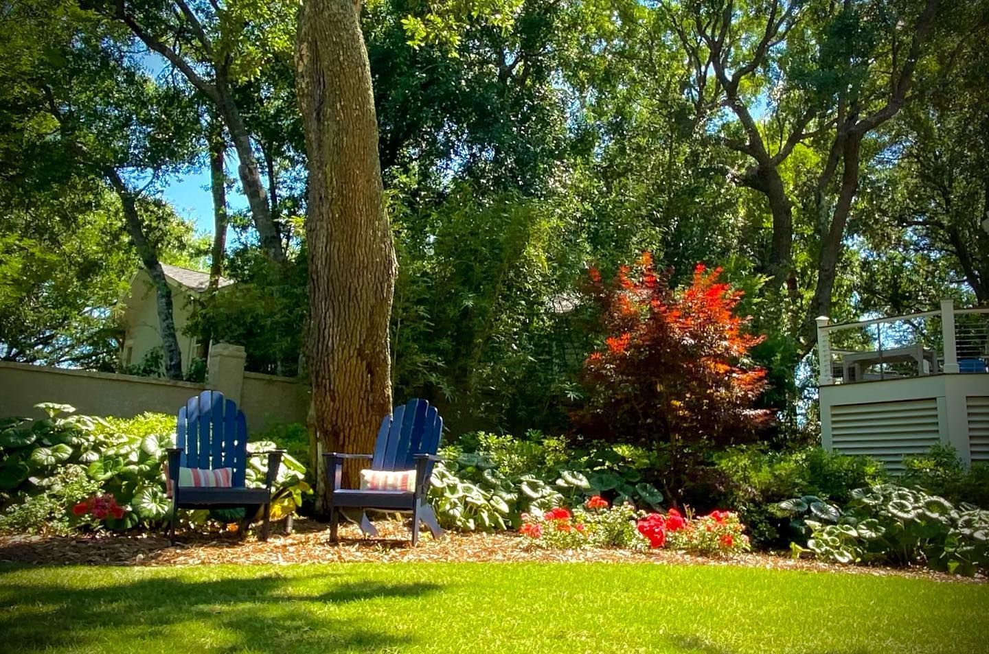 Sunny garden with two blue chairs, red flowers, and tall trees beside a white fence.