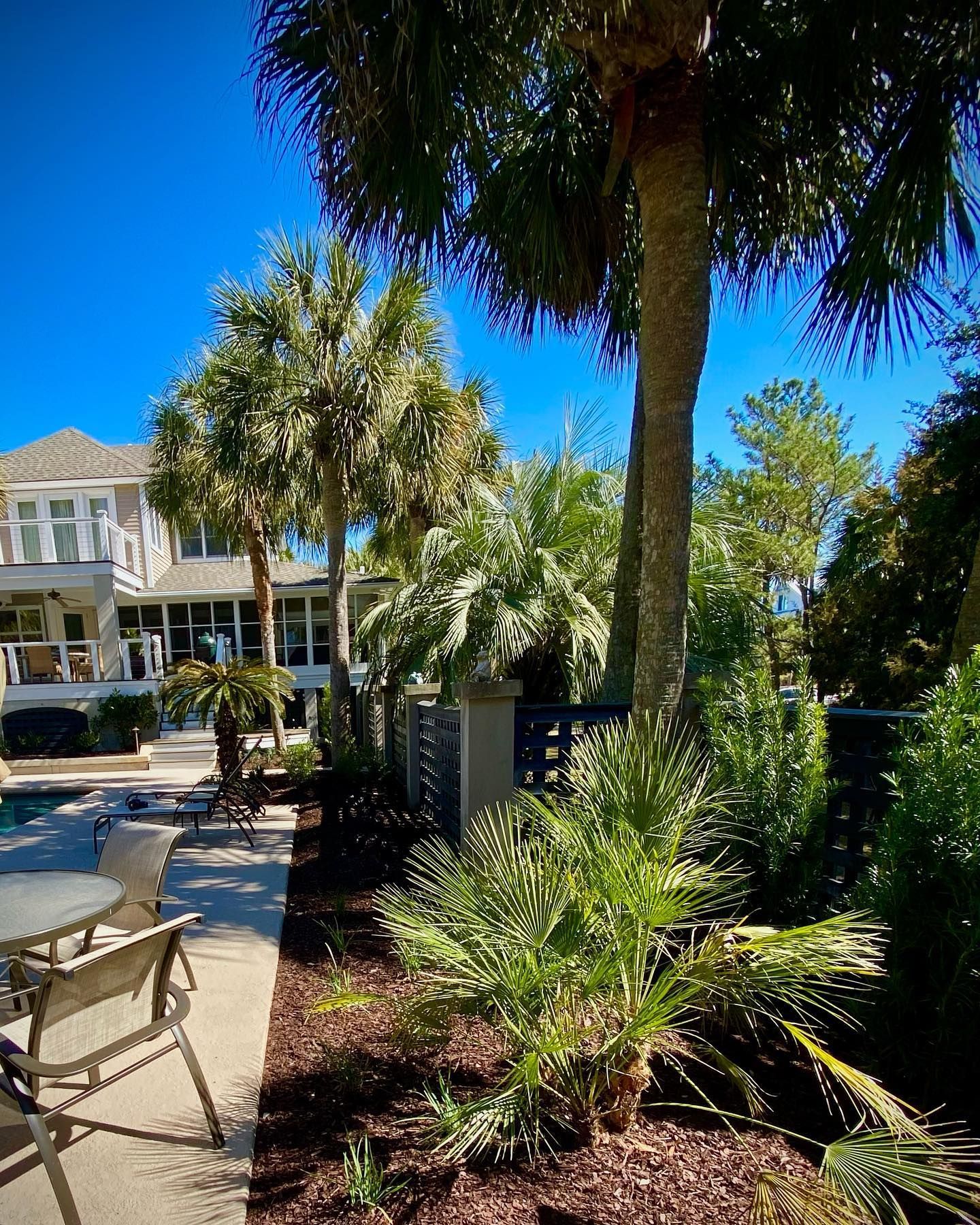 Sunny courtyard with palm trees, lounge chairs, and a white building under a clear blue sky