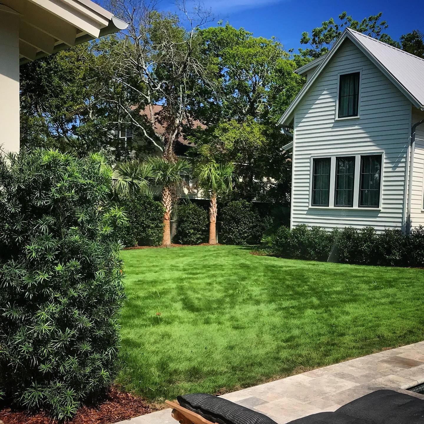 Sunny suburban yard with green lawn, trees, and a light blue house beside a sidewalk.