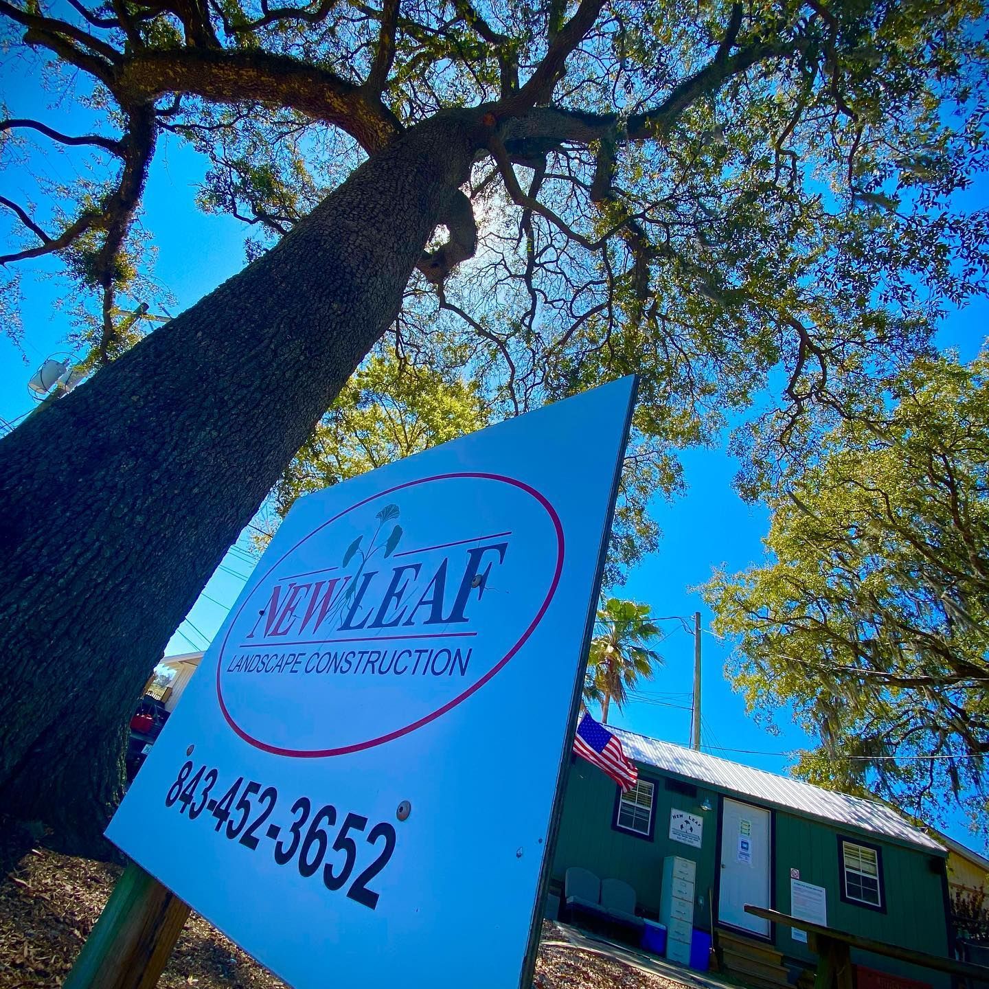 Blue sign for The Leaf Property Management beside a tree and building under a bright sky.