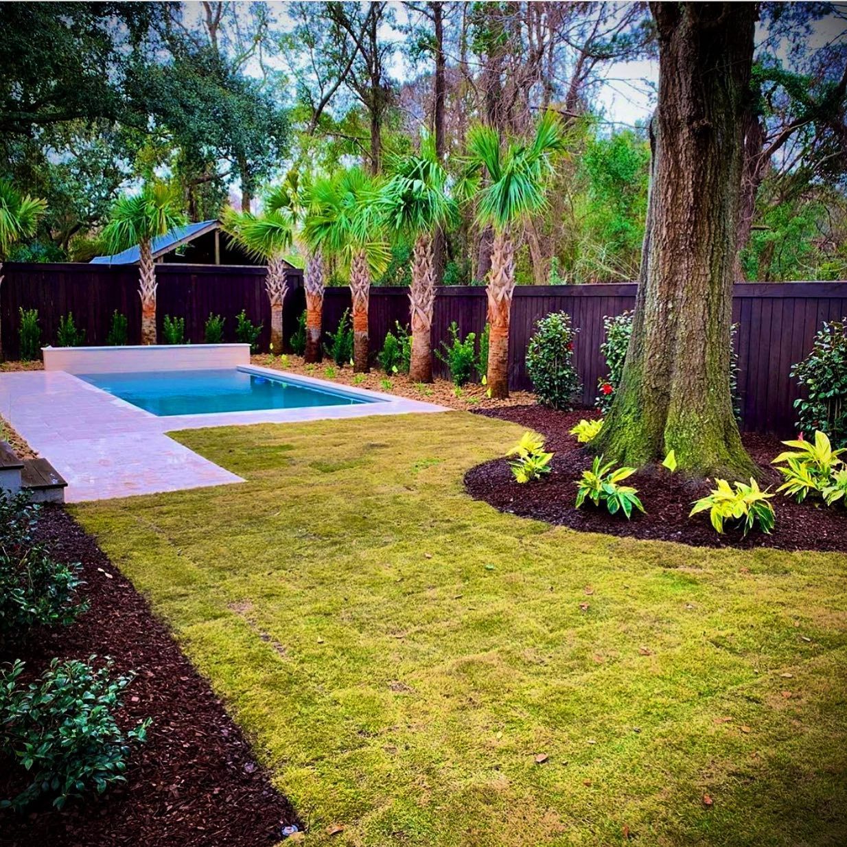 Backyard with a small pool, green lawn, trees, and dark wooden fence