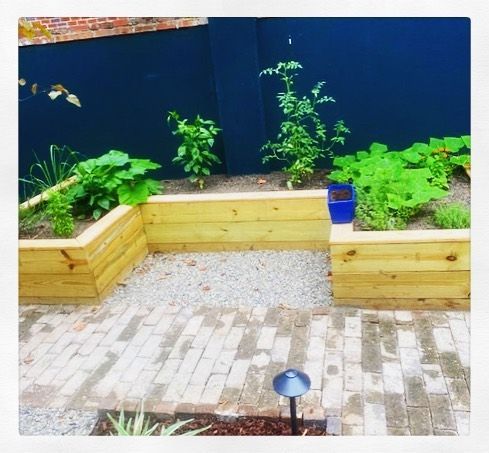 Small wooden raised garden beds with green plants around a brick patio and blue wall
