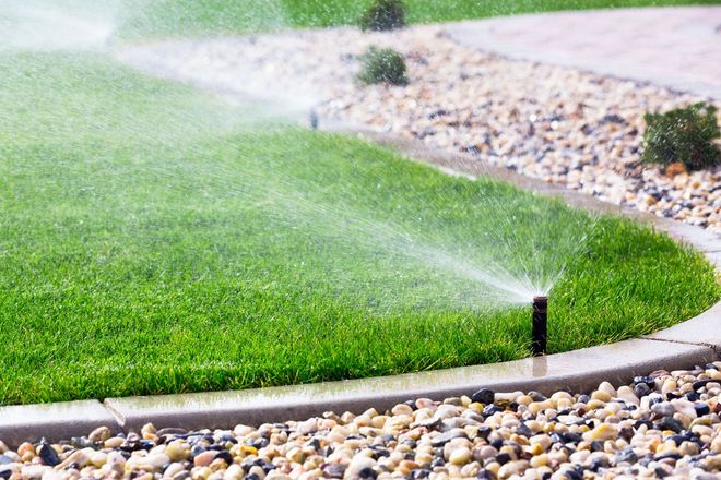 Sprinklers watering a green lawn beside a gravel border