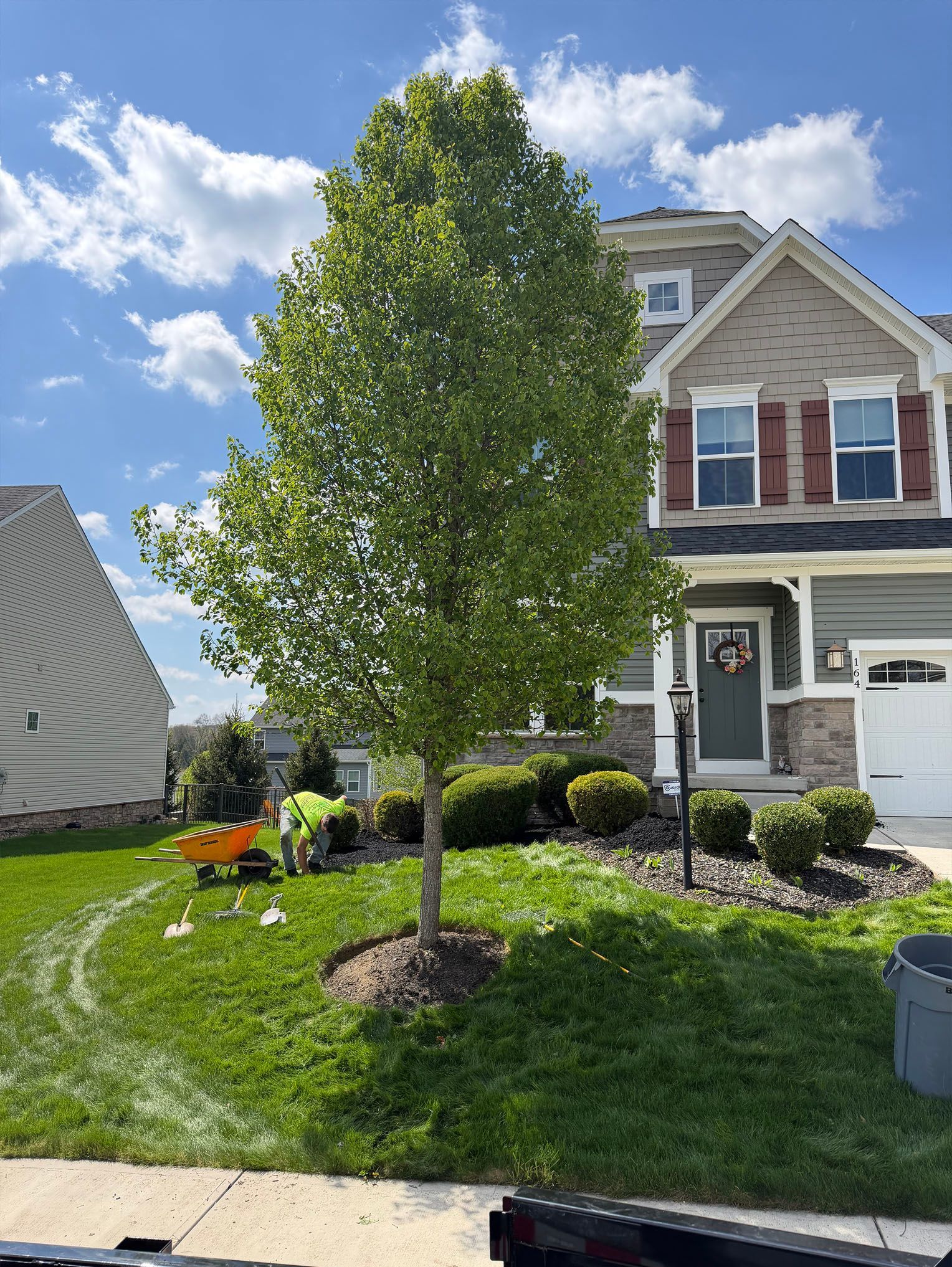 Front yard with young tree, flower bed, and brick house under a bright blue sky