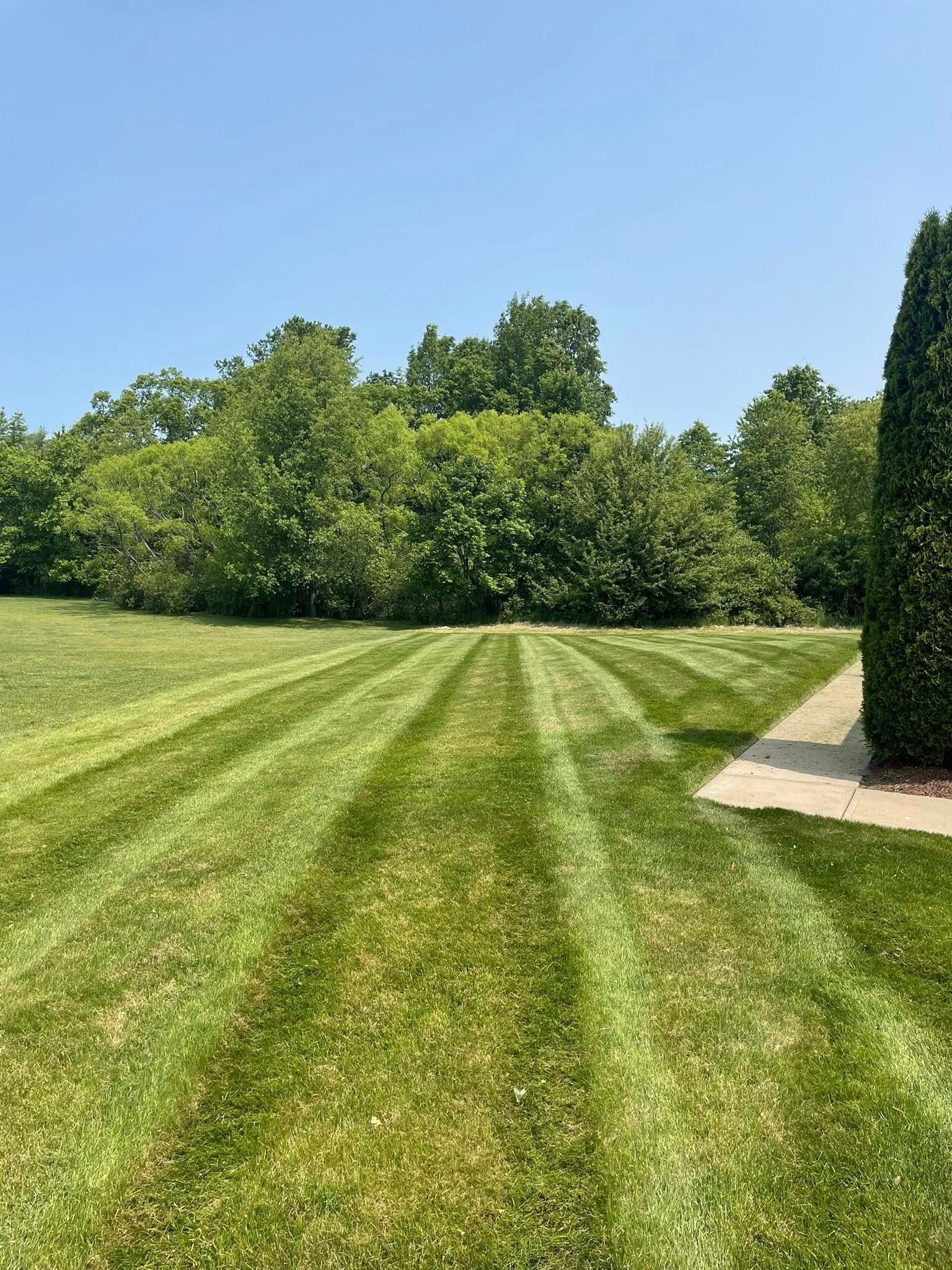 Lawn with freshly cut stripes of grass, a pathway on the right, and trees in the background on a sunny day.
