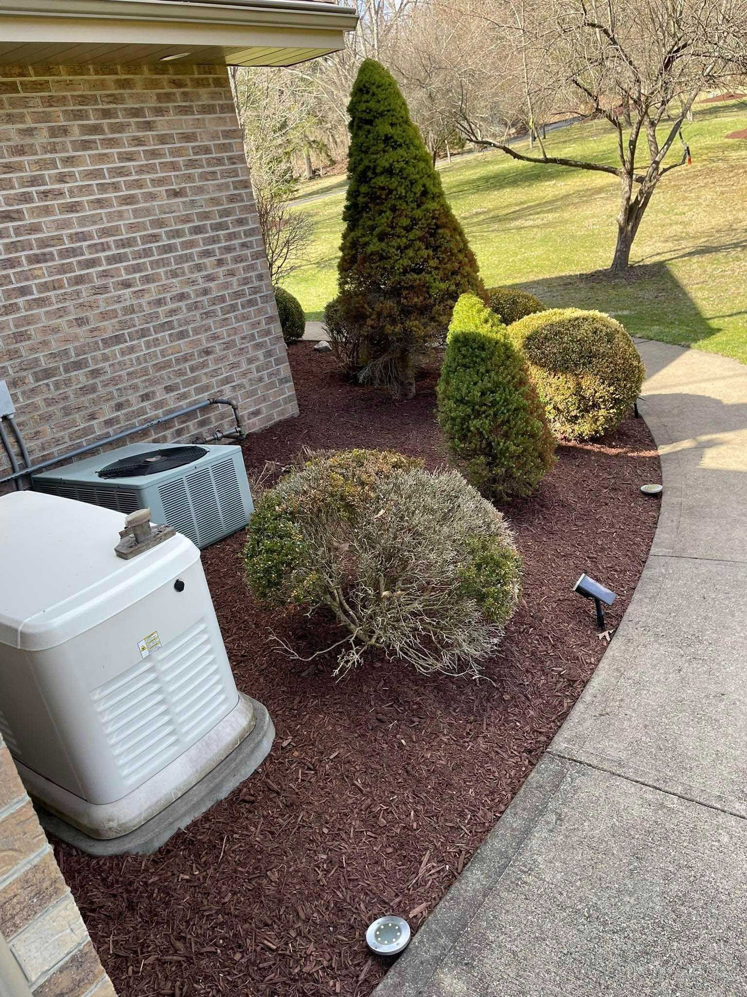 A residential garden bed with various green shrubs and brown mulch. A generator and AC unit sit next to a brick wall.