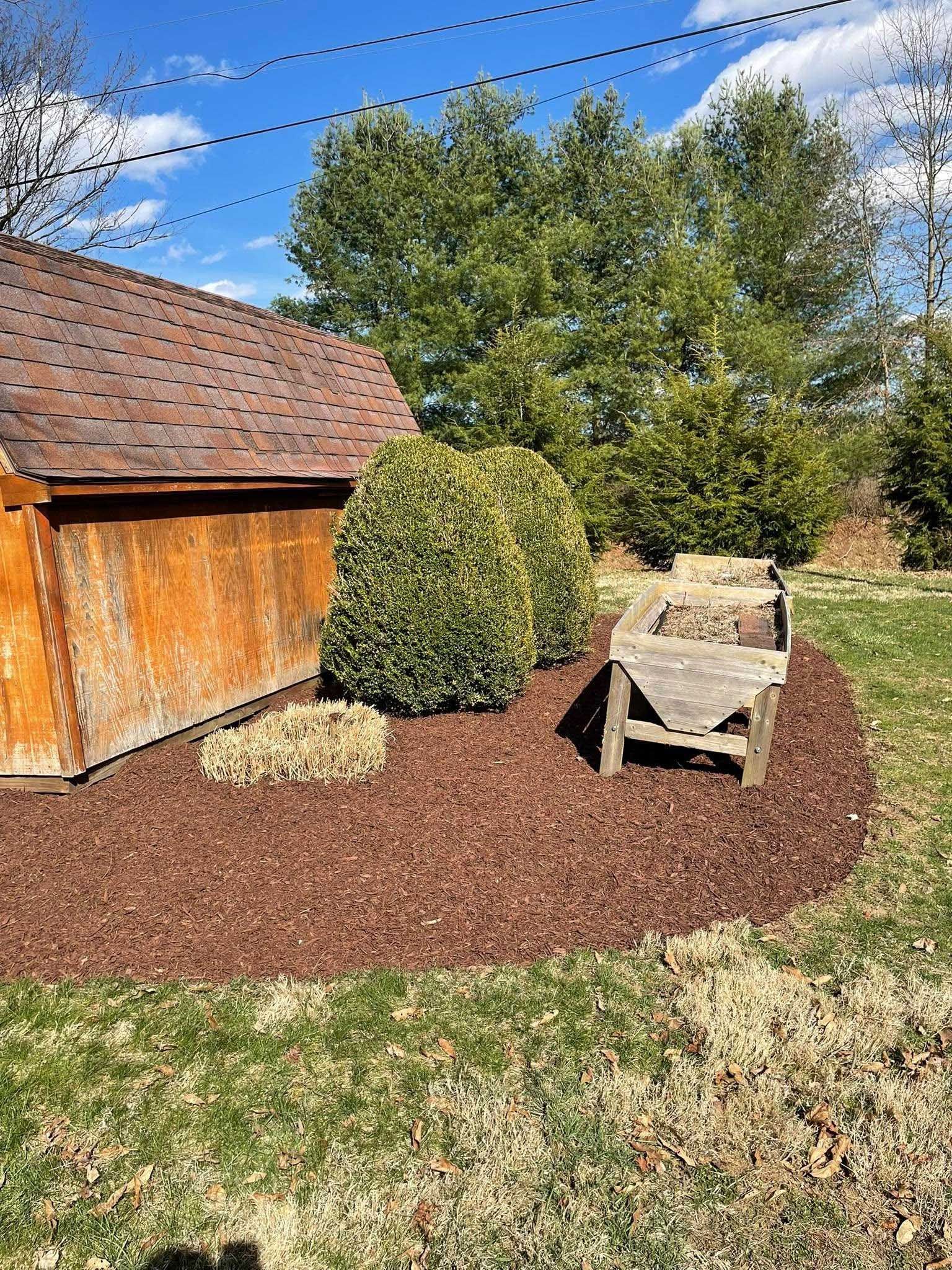Wooden shed and seating area with a rounded garden bed filled with red mulch and green shrubs.