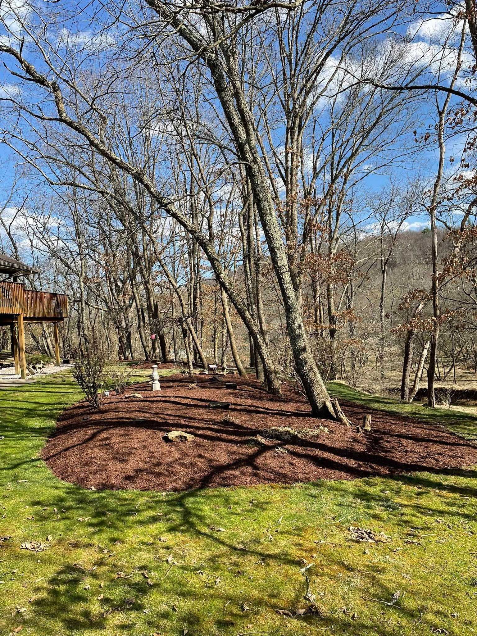 A sunny backyard scene with a tree surrounded by brown mulch. Green grass is in the foreground with a deck and trees in the background.