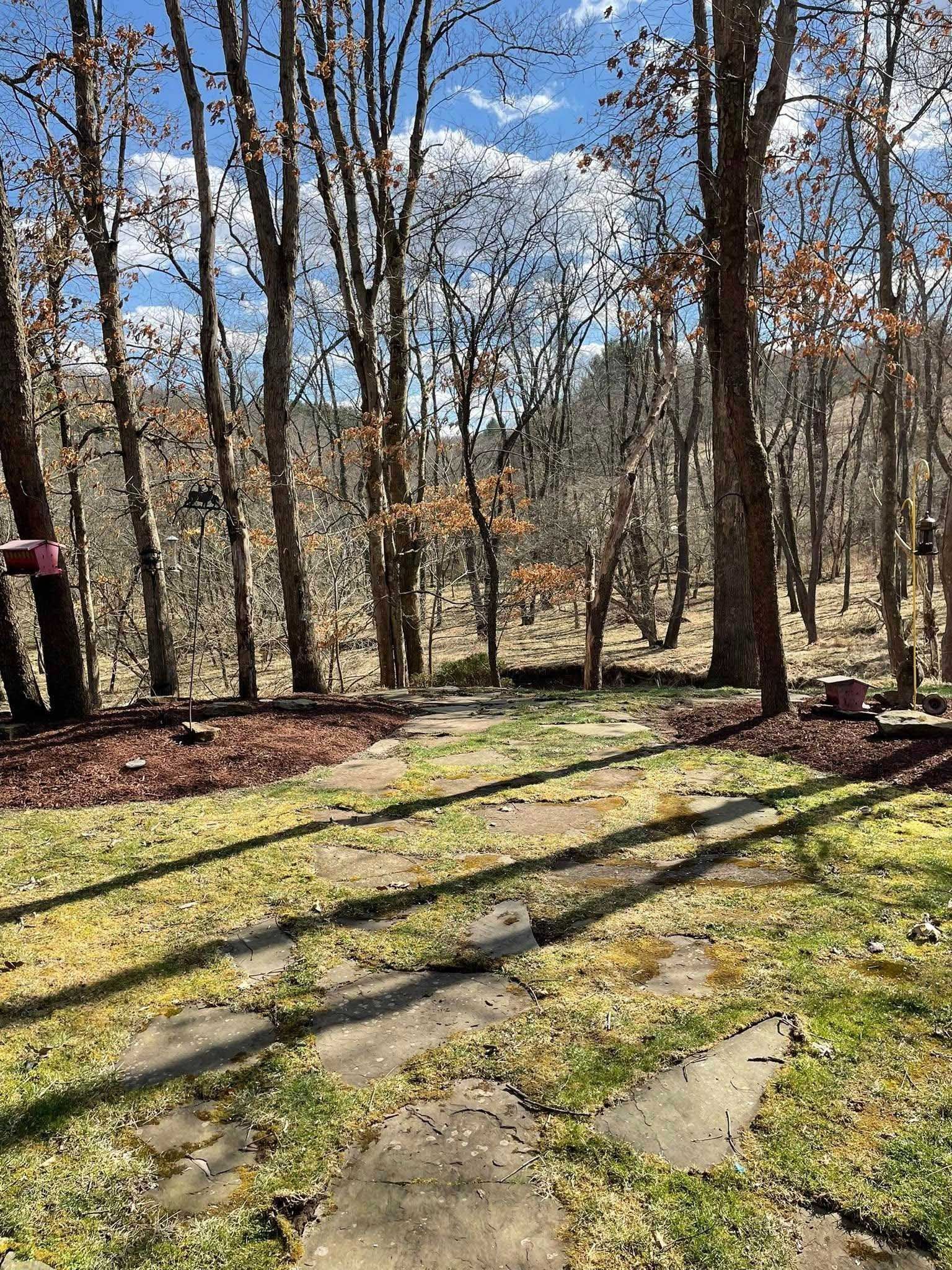 A sunny outdoor scene featuring a stone path leading into a wooded area. Tall, bare trees cast long shadows on the grass.