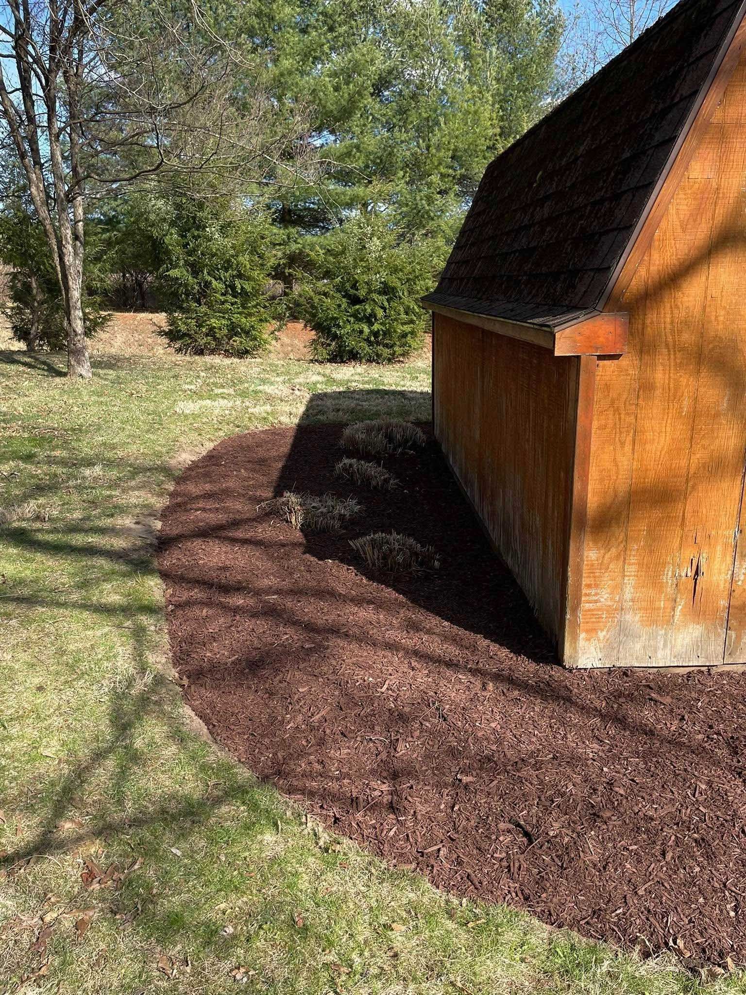 A shed with a newly mulched border on a grassy lawn. The shed is brown, and the mulch is dark brown.