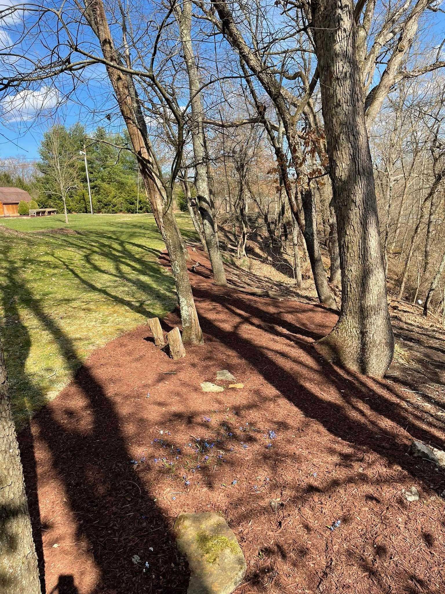 A mulched area with trees casting long shadows stretches along a grassy slope under a sunny sky.