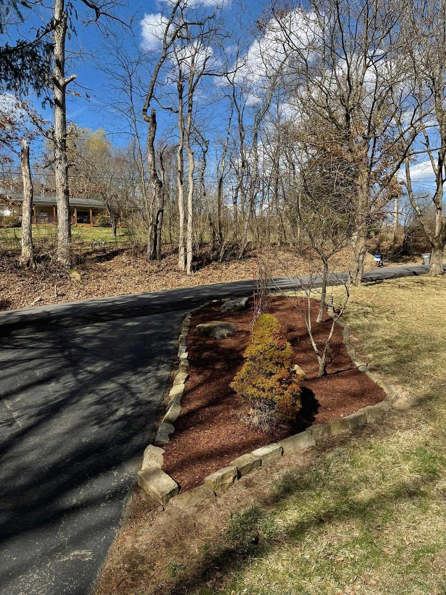 A driveway lined with a mulched flower bed, containing a small evergreen tree, against a backdrop of bare trees and a blue sky.